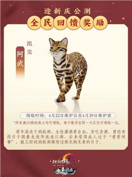 天龙八部私服服版本